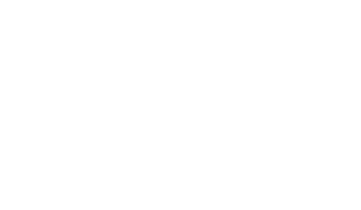 Travel Dom
